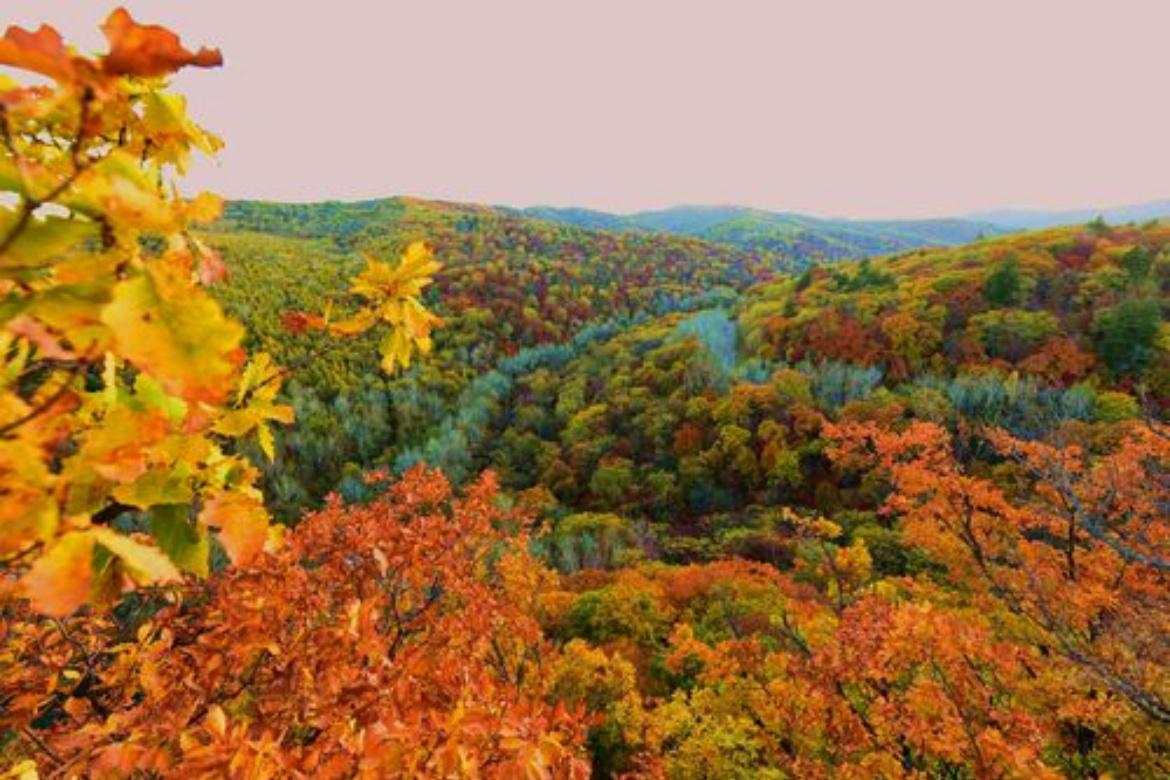 Hongshi National Forest Park